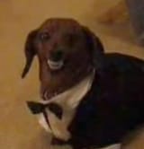 Heeheheh
