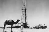 oiltrends