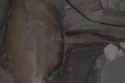 1740092972201002_thumb.jpg