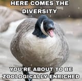 goosediversity