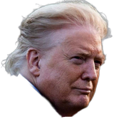 Trump-face