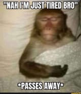 1736495087016219