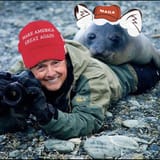 awoo seal photography