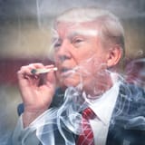 TrumpSmokeout