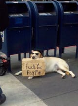 fuck you pay me