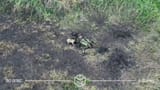 vlcsnap-2025-07-16-17h29m51s212
