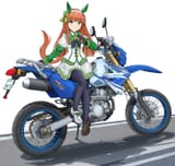 __silence_suzuka_umamusume_drawn_by_mikeran_mikelan__sample-657d5af97fa38bab14e3f9cf3a3b5020