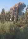 Daraa_thumb.jpg
