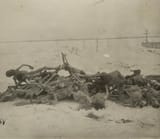 07 Cemetery (pile of frozen corpses of children), Buzuluk district 07