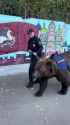 russian_police_bear_hq__thumb.jpg