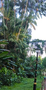 park coconut 