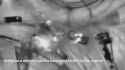 Visegrad24-1945511246259708072-01 (Encoded)_thumb.jpg
