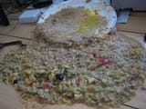 Vomit_on_plate