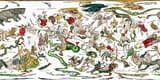 Wit_Eq0_5000x2500