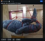 Screenshot_16-7-2025_143244_www.reddit.com