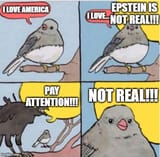 1752693355319211