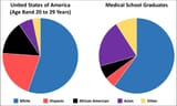 Racial age band 20-29 in 2015