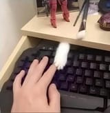 It&#039;s timetogotouchgrass