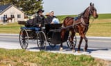 amish-german