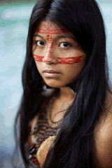 native (1)