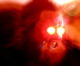 1662500494844999