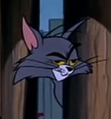 thatdamncat