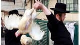 jew and chicken