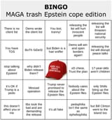 trump-epstein-cope-blank