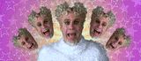 will_ferrell_multi