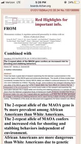 2 Repeat Allele of MAOA gene