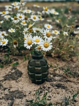 IMG_20250716_171110_747