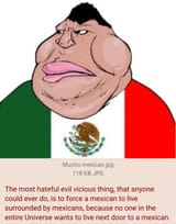 Deporting a mexican
