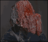 1353622446144