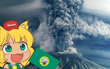 awoo washington 4