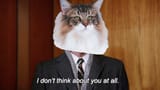 Idontmeowaboutyouatall