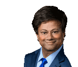 thanedar flip