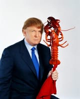 ChiefLobster
