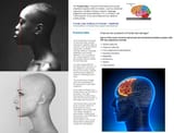 frontal_lobe_niggers
