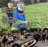 1742225557615375