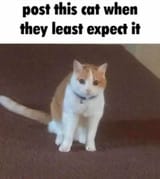 3457