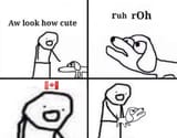 canada_doggo