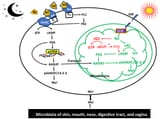 biology-12-00089-g002