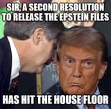 43u3ol1pecdf1