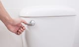 WhatNotToFlush