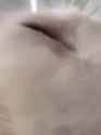 lick_lick_lick_thumb.jpg