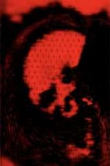 1702518837666460s