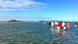 northhead
