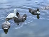 IMG_20250526_142746171_HDR