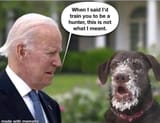 Bidenomics