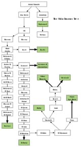Shia_Imams-tree